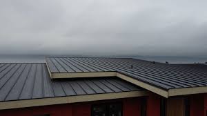 Best Solar Panel Roofing Installation  in Ouray, CO